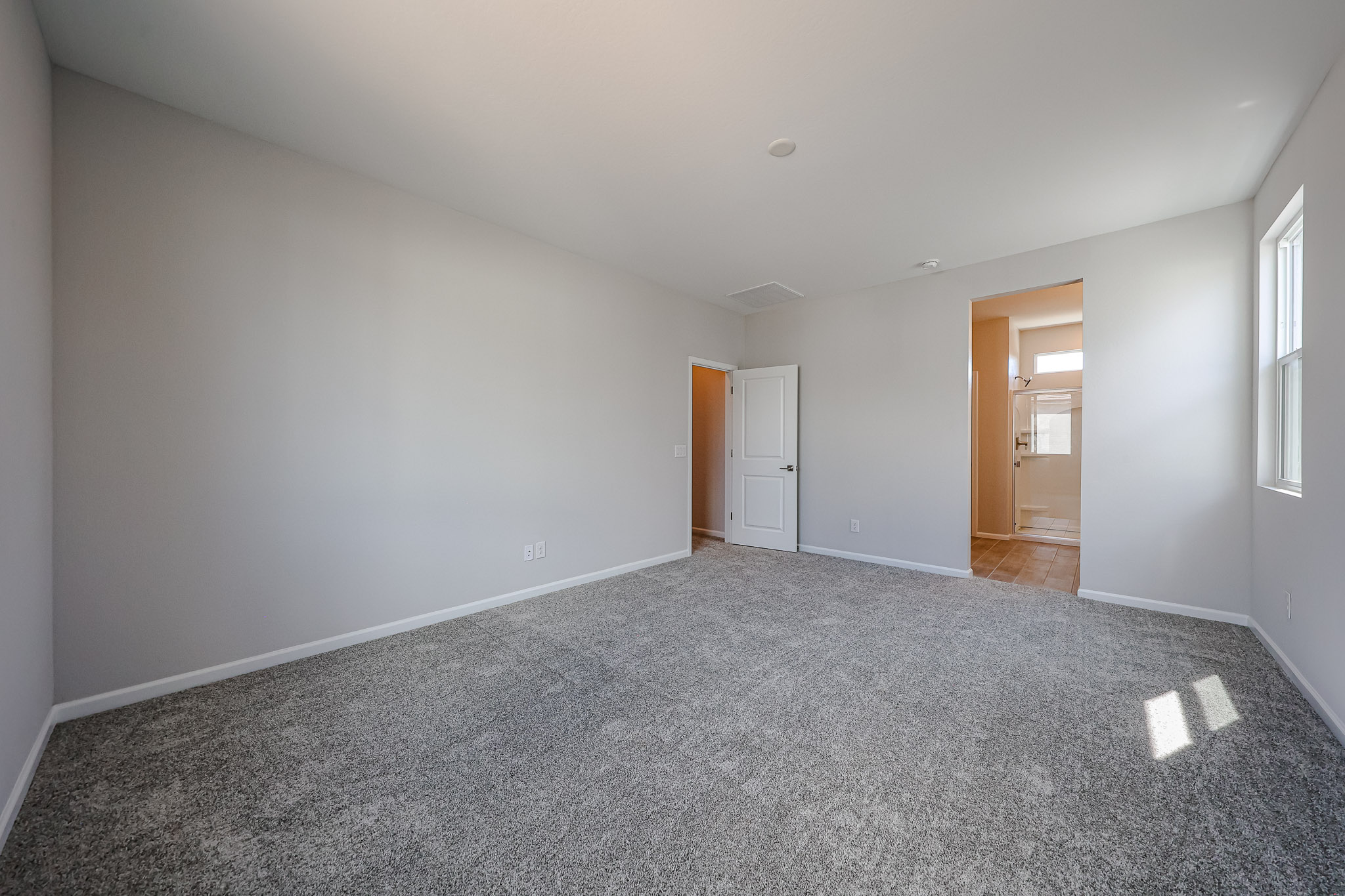 A room with a carpet and a door.