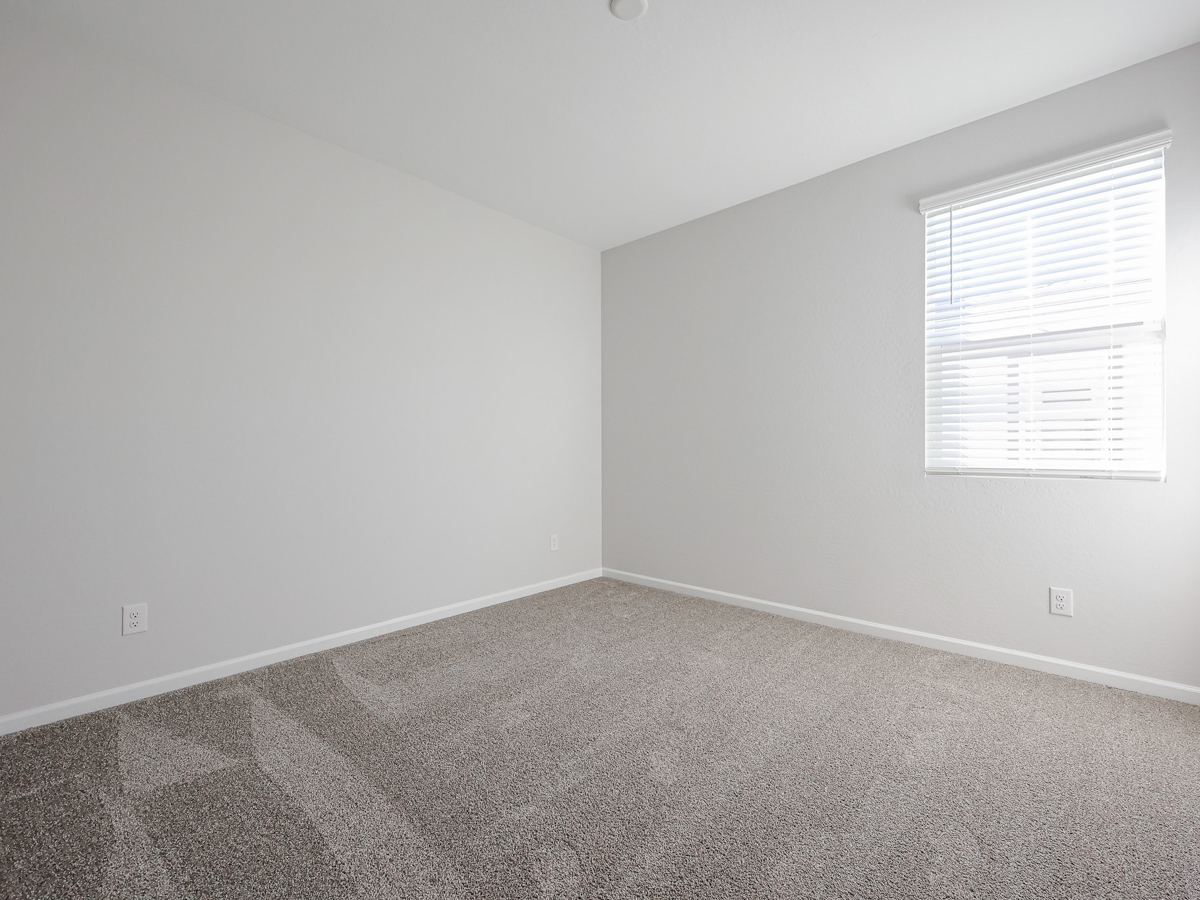 A room with a carpet and a window.
