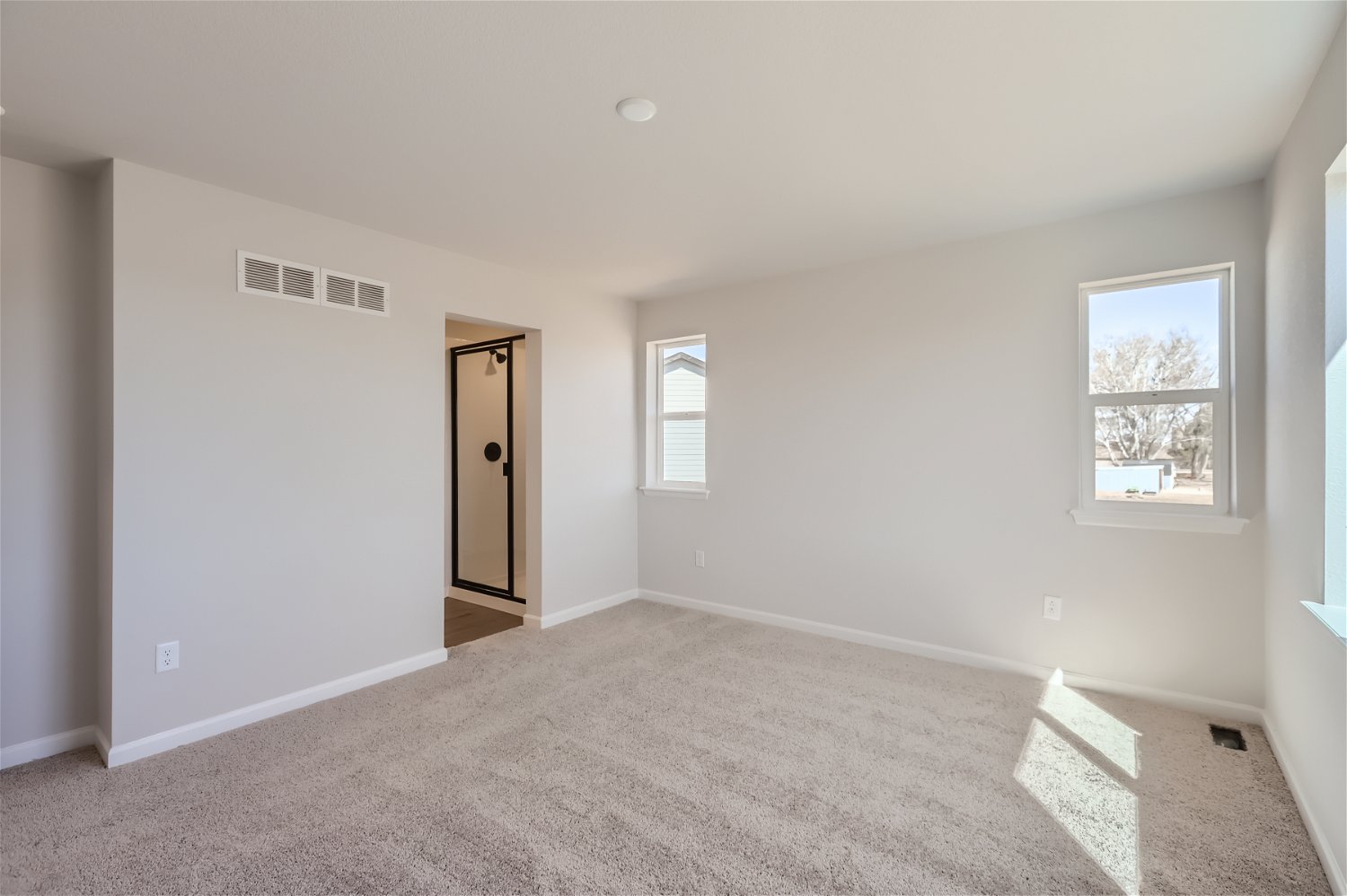 A room with a carpet and windows.