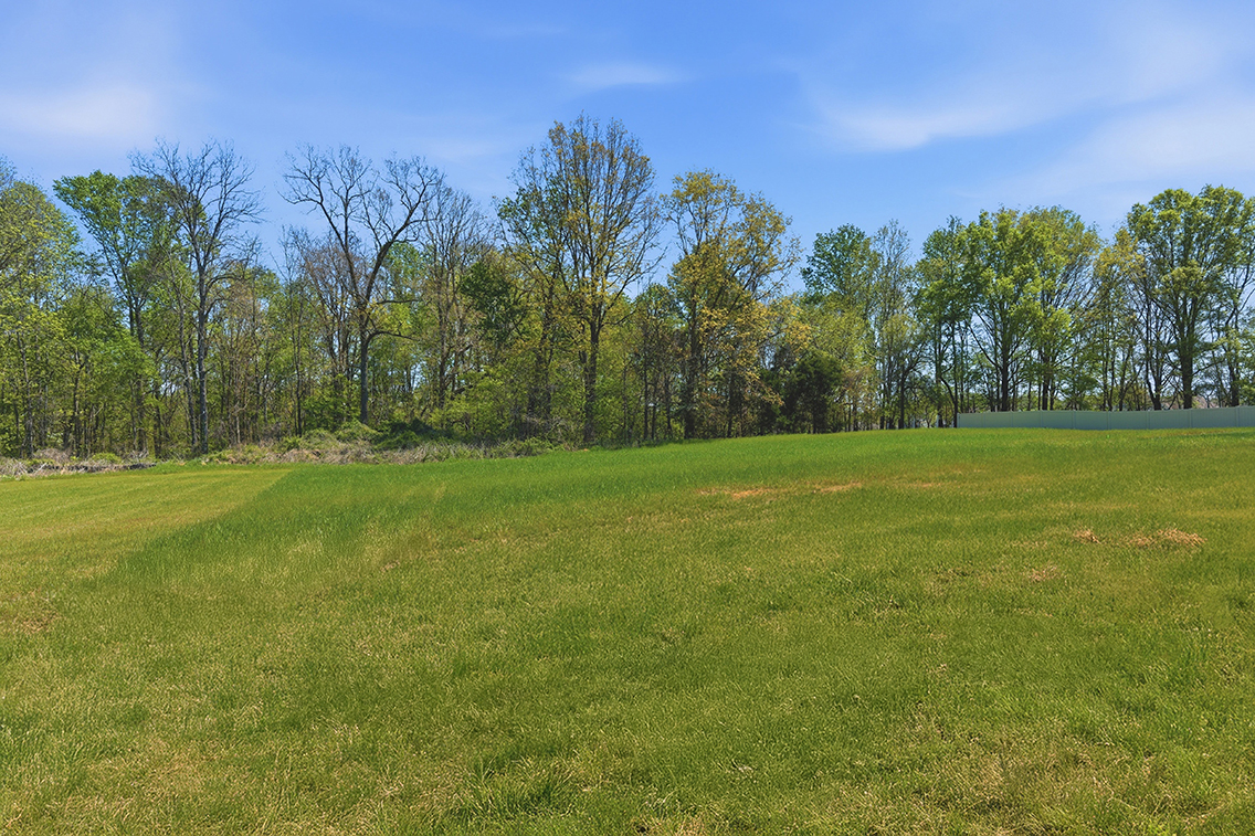 A grassy field with trees in the background.