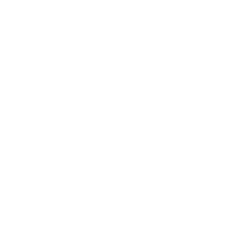 house icon
