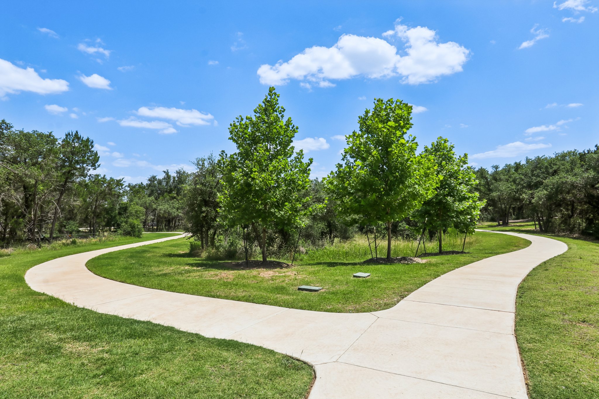 A path with grass and trees on the side.