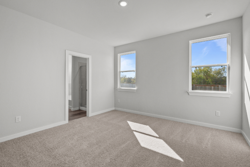 A room with a rug and windows.