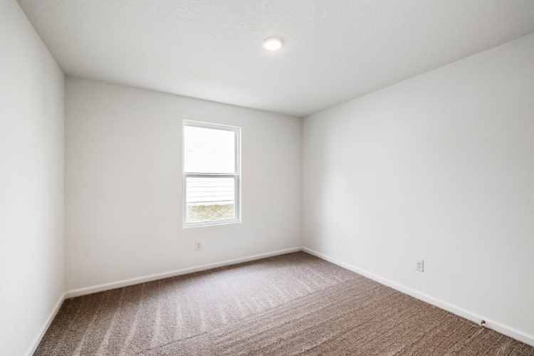 A room with a carpet and a window.