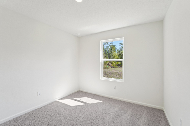 A room with a window and a rug.