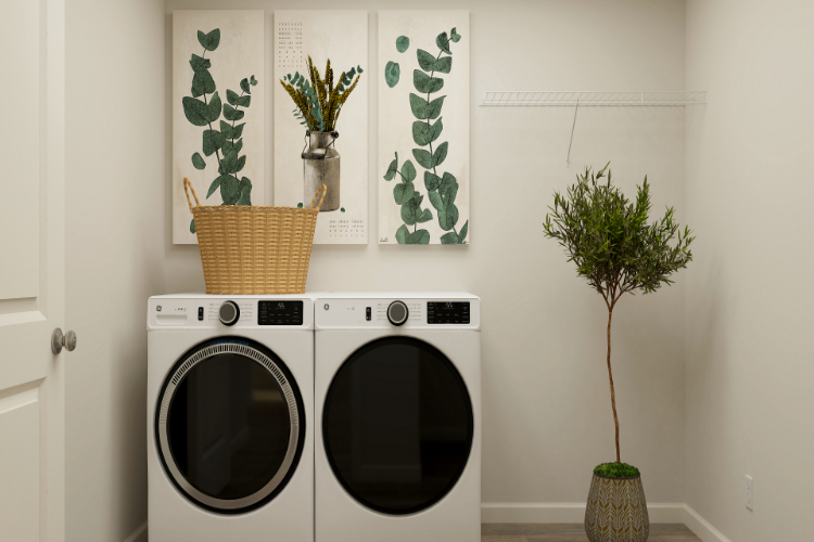 A white wall with a plant and a washing machine.